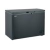 282L Single Door Inverter Chest Freezer(BCS 300EIX)